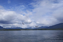 Fishing Charters & Tours, Juneau, United States