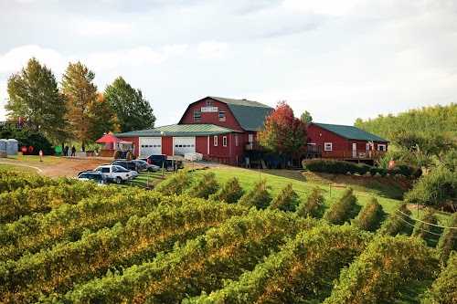 Carter Mountain Orchard and Country Store