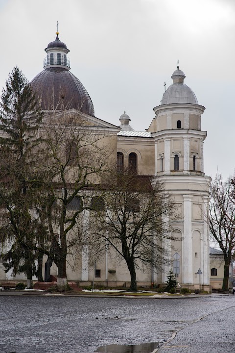 Кафедральний костел святих апостолів Петра і Павла РКЦ