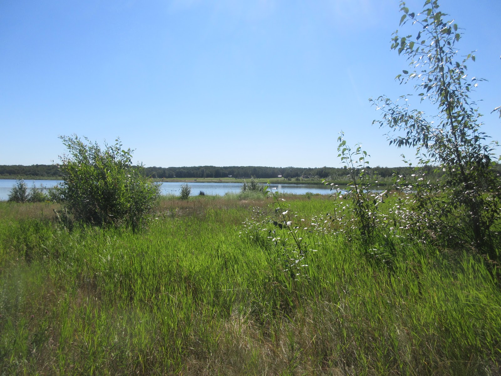 Miquelon Lake