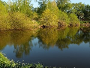 Авіаційне