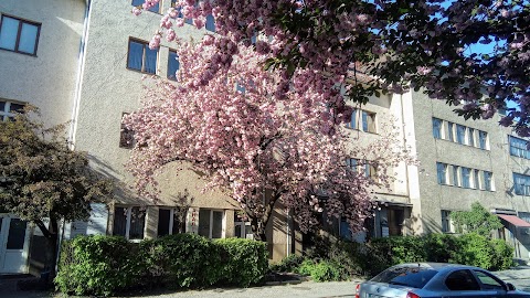 Ужгородська міська дитяча поліклініка