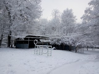 КОНТАКТ, ГИМНАЗИЯ