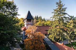 Verkhovyna Resort Medical & Wellness