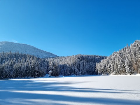 Synevyr lake