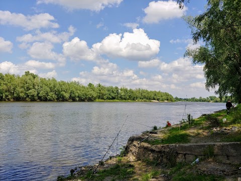 База відпочинку "Дельфін"