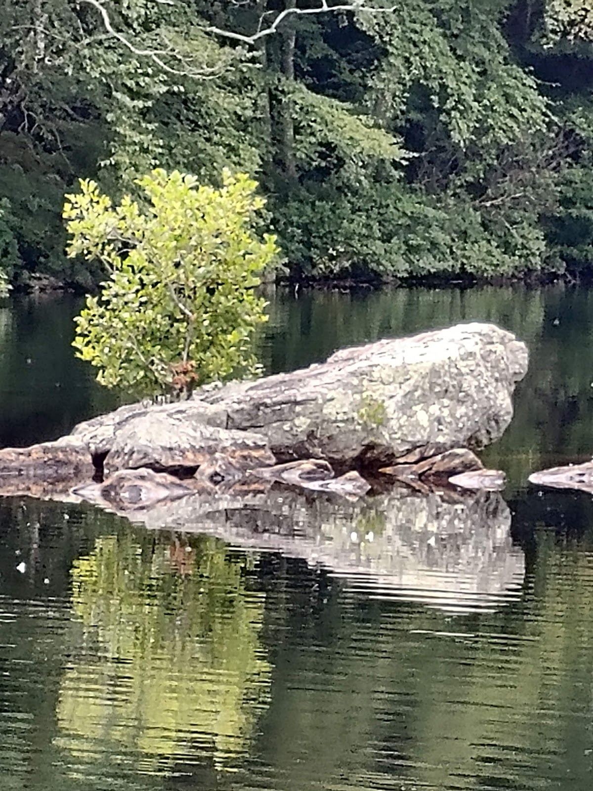 Pachaug/Green Falls Campground