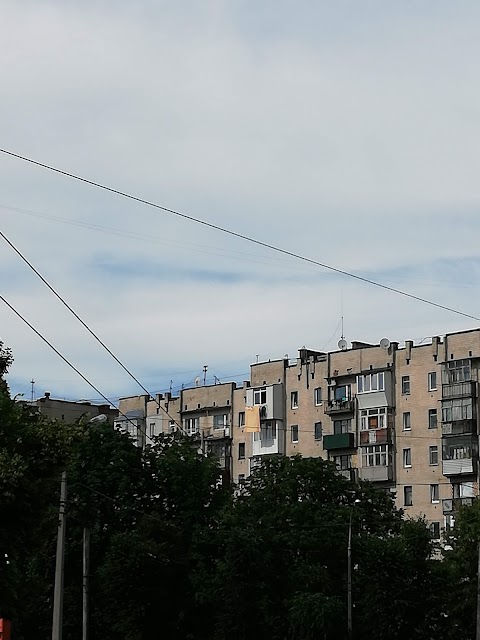 Алекс