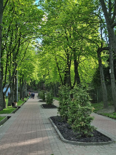 Березовий гай Парк-Пам'ятка СПМ МЗ