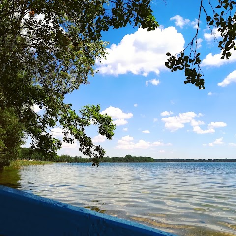 Пляж університецької бази