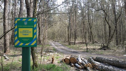 Державний ботанічний заказник "Рибне"