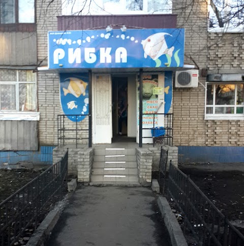 Магазин Рибка