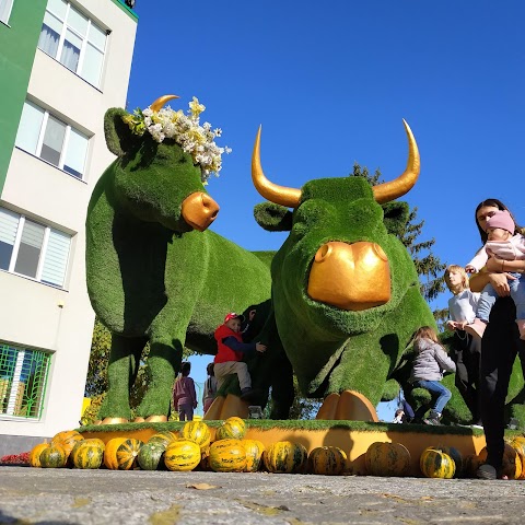 Тернопільський м‘ясокомбінат