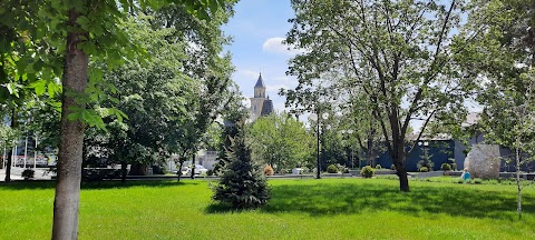 Комунальний заклад "Берегівський медичний фаховий коледж" Закарпатської обласної ради