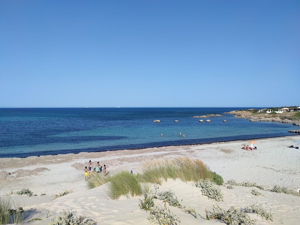 foto della Spiaggia Del Moletto