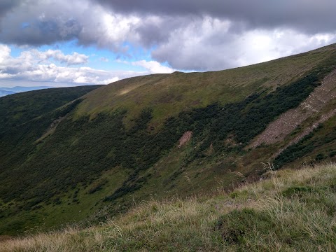 Свидовецький заповідний масив