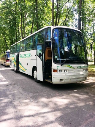 Транспортно-туристична компанія ТрансТурСервіс Полтава