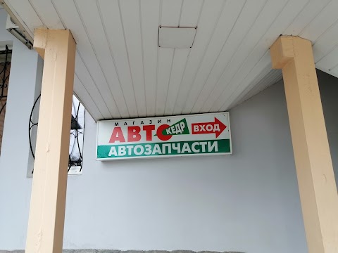 Авто Кедр