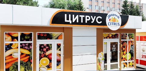 Цитрус