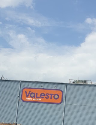 Valesto