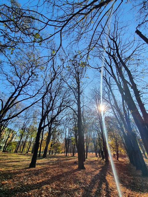 Парк імені Гагаріна