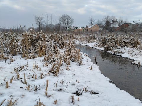 Рукавичка