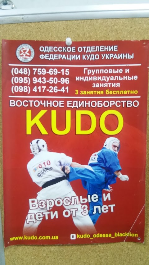 Спортивна Школа KUDO