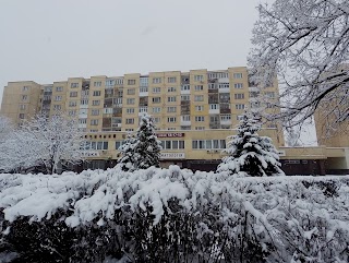 ЛІКУВАЛЬНО-ОЗДОРОВЧИЙ КОМПЛЕКС, ПРИКАРПАТТРАНСГАЗ, УПРАВЛІННЯ МАГІСТРАЛЬНИХ ГАЗОПРОВОДІВ