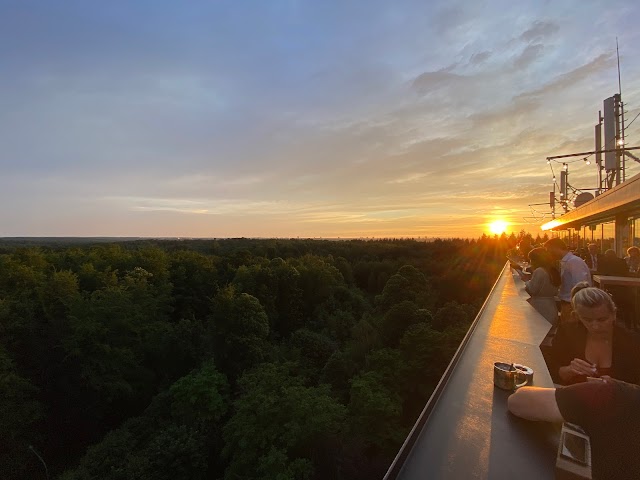 Soko Rooftop