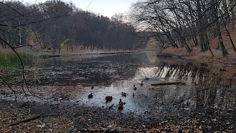 Голосеевский парк