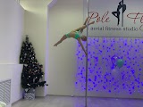 studiya tantsev "Pole Fly"