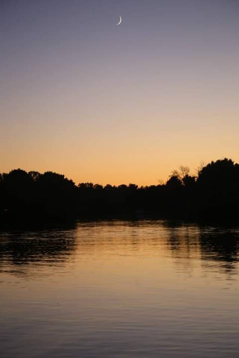 Pine Point Campground (Chippewa County)