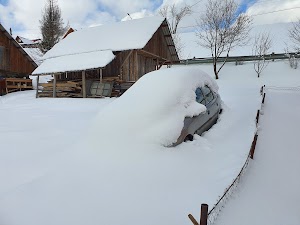 Дикі Чани