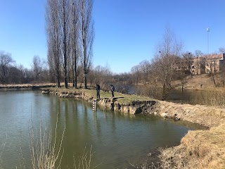 Вишківський