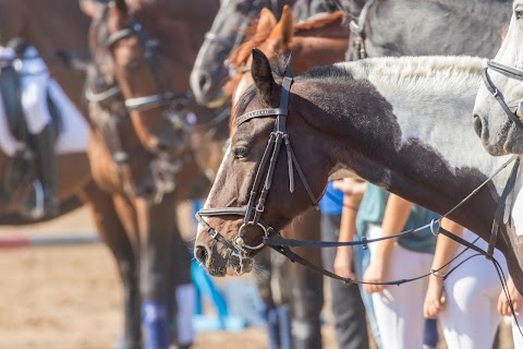 Кінно-спортивна школа Олімпійського резерву України