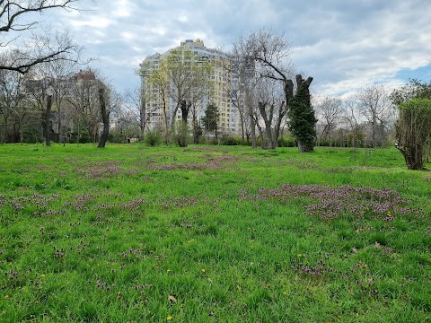 Ботанічний Сад Одеського Національного Університету