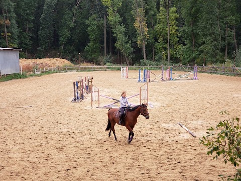 Конно-спортивный клуб «JB stable»