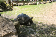 Riverbanks Zoo and Garden, Columbia, United States