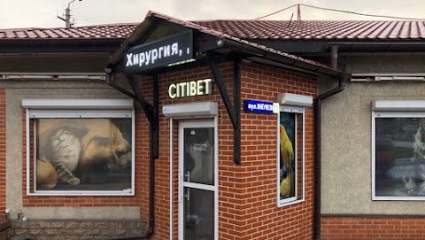 СитиВет