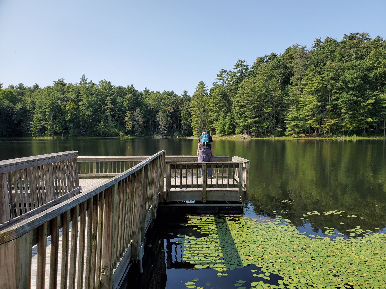 Monongahela/Lake Sherwood Rec Area