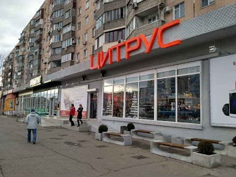 Цитрус