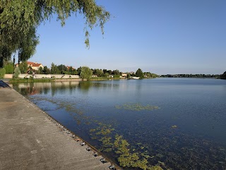 Золоче School