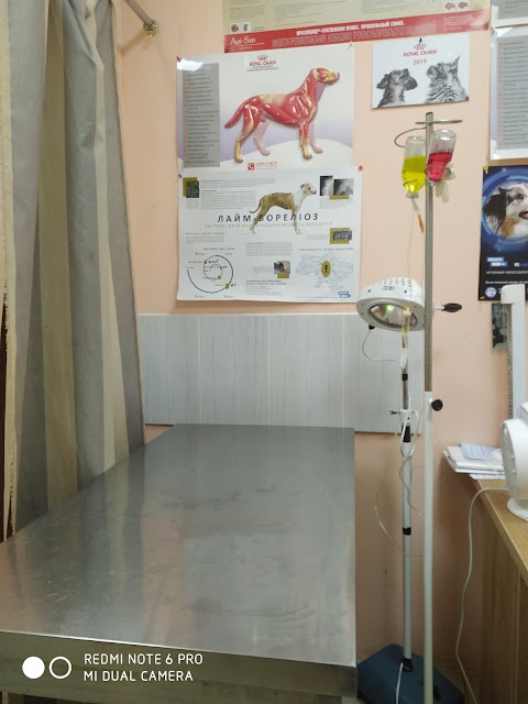 VETCLINIC