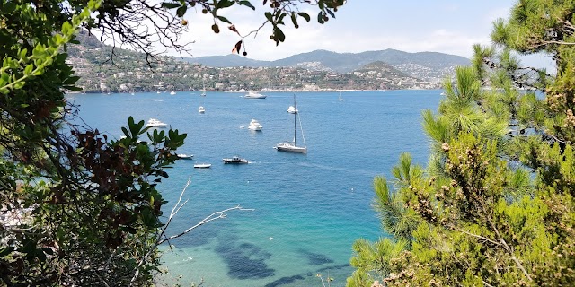 Restaurant plage l'Aiguille