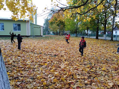 БАХІВСЬКА ЗОШ І-ІІ СТУПЕНІВ