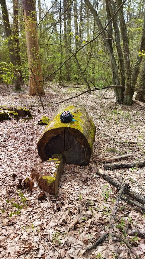 Жорнівський Заказник