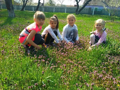 Ватутінська загальноосвітня школа І-ІІІ ступенів