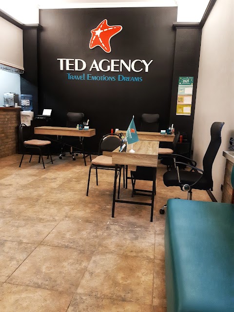 TED Agency