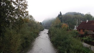 АС Ясіня, ПрАТ Закарпатавтотранс