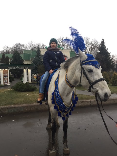 Коротичанський ліцей